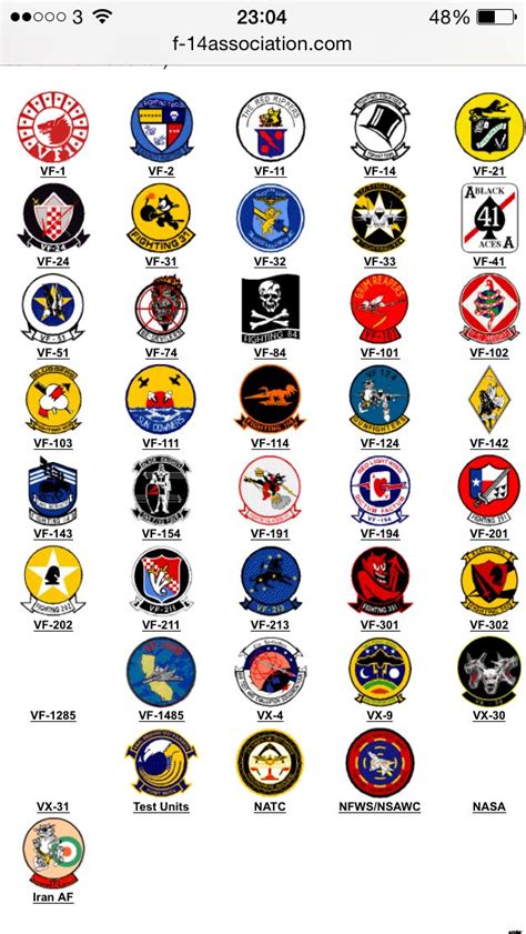 US Navy Fighter Squadron